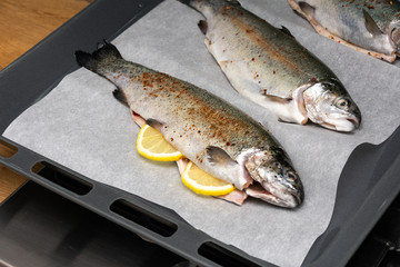 kitchen, cook, rainbow trout, wild, vegetable, mediterranean, meat, health, catch, eat, salmon, sea, fillet, eye, red, freshwater, black, tasty, nutrition, market, lemon, fresh, fish, food, seafood, r