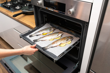 Modern stainless steel electric oven