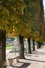 Jardin des Tuileries à Paris