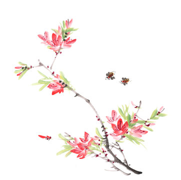 Traditional Chinese painting of peach flowers