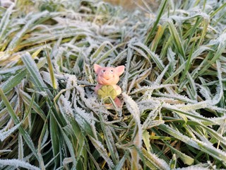 Alles Gute für das neue Jahr - verstecktes Glücksschwein im Gras