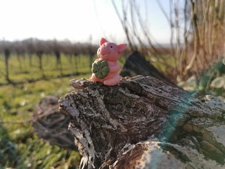 Glückschwein mit Regenbogen - auf ein gutes neues Jahr