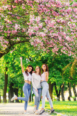 Fototapeta premium stylish girls posing in the park with japanese cherry blossom tr