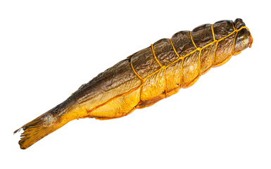 hot-smoked salmon fish tied with twine isolated