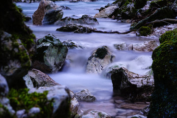 The river stream