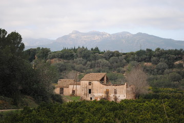 Fototapeta na wymiar Masia en ruinas en el parque natural Els Ports.