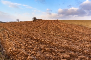 Frozen plowed field. Frost on agricultural field. Winter without snow. Frozen clay.
