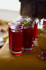 BEBIDA ROJA PARA TOMAR EN UN DÍA REFRESANTE EN UN SHOOT