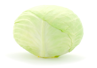 White cabbage isolated on white background.