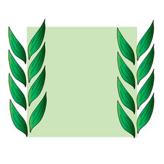 Green square frame with green leaves. Vector on white background for your design.