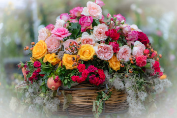 Composizione di fiori recisi in vaso