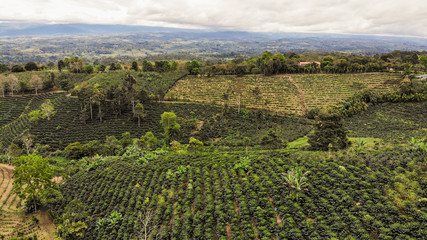 Fototapeta na wymiar Aerial view of coffee plantation in San Vito, Costa Rica
