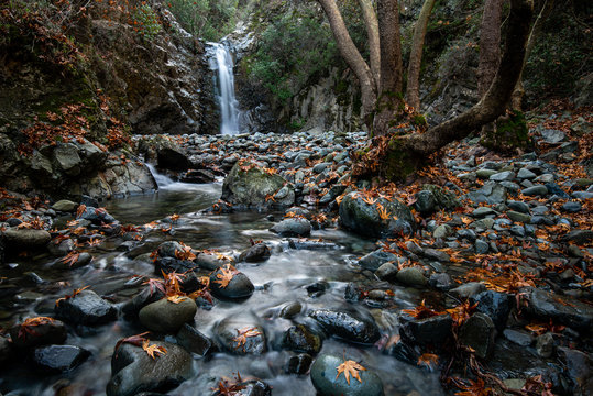 Autumn landscape  waterfall splashing in the canyon and yellow autumn maple leaves in the ground.