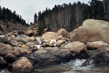 A Rocky Stream