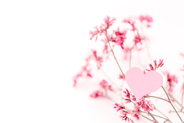 A small pink heart with a place for text decorated with branch of flowers on a white background