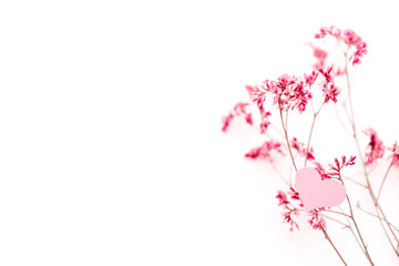 A small pink heart with a place for text decorated with branch of flowers on a white background