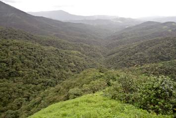 Fototapeta na wymiar Beautiful view of valley. Greenery all over the mountain on a rainy season.