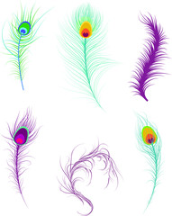 Fototapeta premium decorative feathers