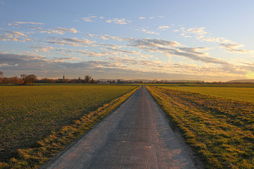 Naklejka premium Idyllischer Weg zwischen Feldern im Sonnenuntergang