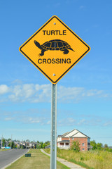Turtle crossing yellow signpost 