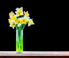 a bouquet of Narcissus flowers in a glass vase on a wooden table on a black background with a copy space