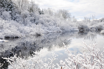 winter landscape with trees and snow with reflection in water