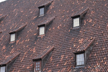 slanted tile roof with windows