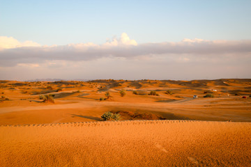 Blick in eine Wüstenlandschaft in der Abendsonne