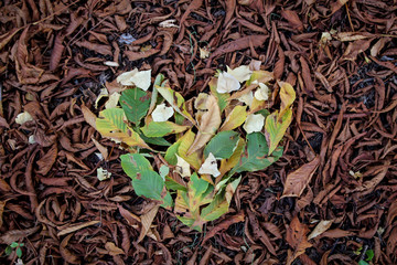 ein Herz aus grünen und hellen Blättern, inmitten von braunen Kastanienblättern