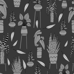 seamless pattern in monochrome, with the image of houseplants
