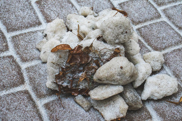 stones in winter