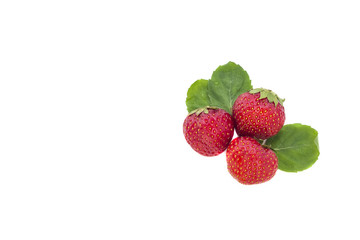 Juicy fresh strawberry with mint leaves isolated on a white background. Copy space for text