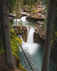 Johnston Canyon Falls a waterfall with fallen tree in Banff, Canada