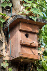 ein Nistkasten hängt versteckt unterm Laub an einem Baum