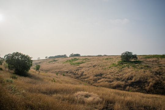 Hilly grassland in India