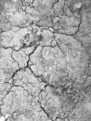 Texture of cracks in the ground