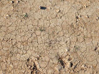 Texture of cracks in the ground