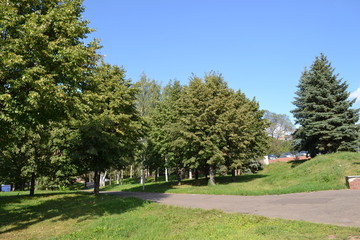 Park in the city