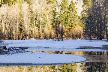 Yosemite NP Merced River Reflection