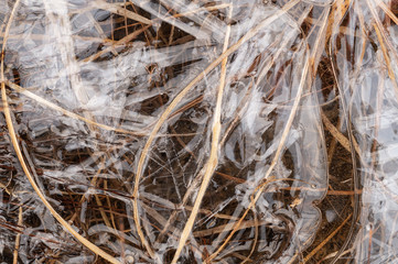 Ice with frozen gras, textures, pattern and close-up