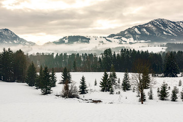 Winter landscape in the mountains