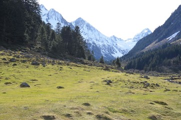 Vallée de Lutour, Cauterets, Pyrénées, France