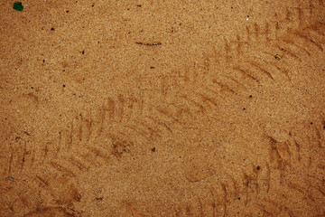 tire tracks on sand background texture