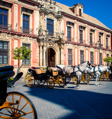 Fototapeta na wymiar horse and buggy in Seville