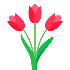 Tulip. Tulips.  Tulip vector. Flat icon of tulip. 8 March. Women`s day. Vector illustration.