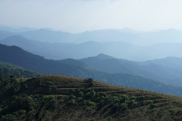 Naklejka premium Beautiful landscape