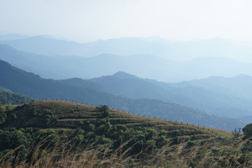 Obraz premium Beautiful landscape