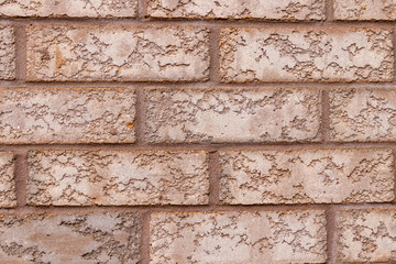 Close up shot of textured brick wall