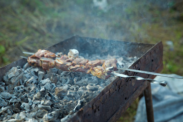 Appetizing lula kebab grilled on metal skewer. Hand and swallow kebab swab. Shish kebab on a metal stick, top view. Lula kebab on skewers , traditional Caucasian dish, close-up .
