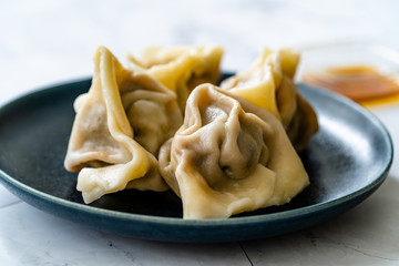 Homemade Steamed Asian Dumplings with Garlic Sauce.